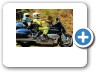 Hi Viz Mojave