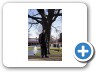 Teiz Motorsports Power Shell