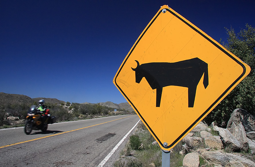 Teiz Motorsports 2 Piece Suit